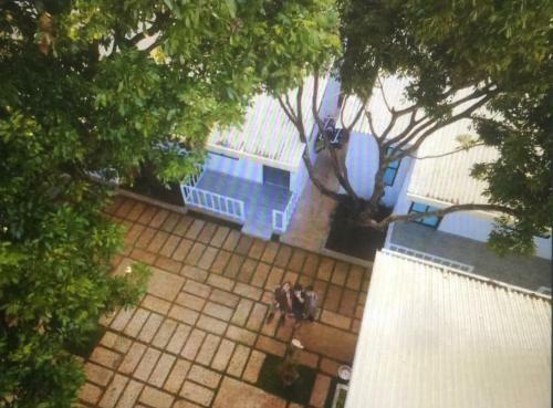Hotel Hani House