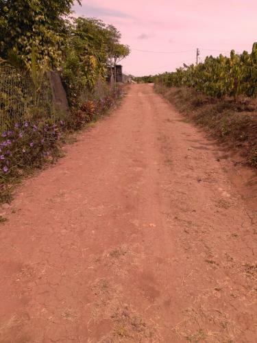 Apartamento ?i?n Farm