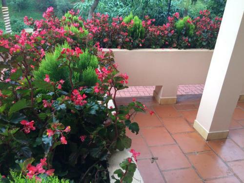 Hanz Hotel Thien Duong Xanh