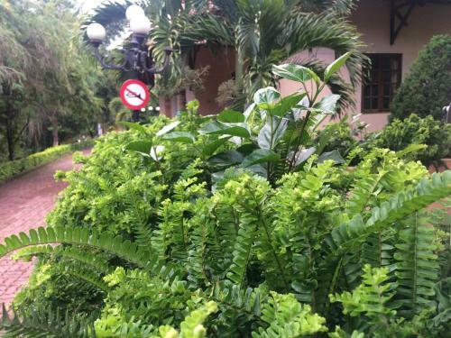 Hanz Hotel Thien Duong Xanh