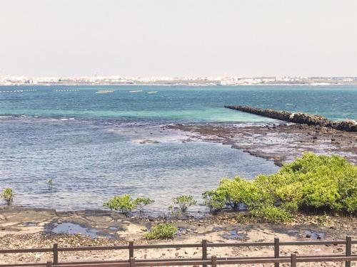 Hostal Xingqing Seaview Homestay