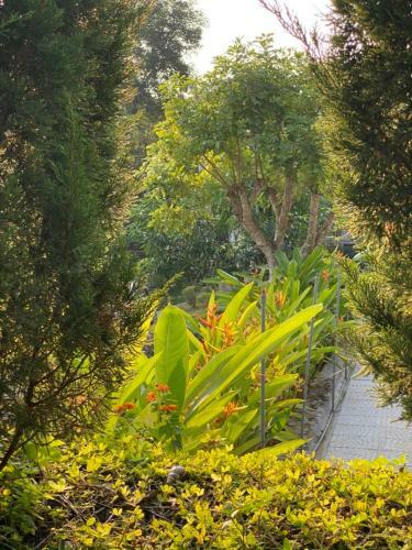 Apartamento An Nhi�n Garden