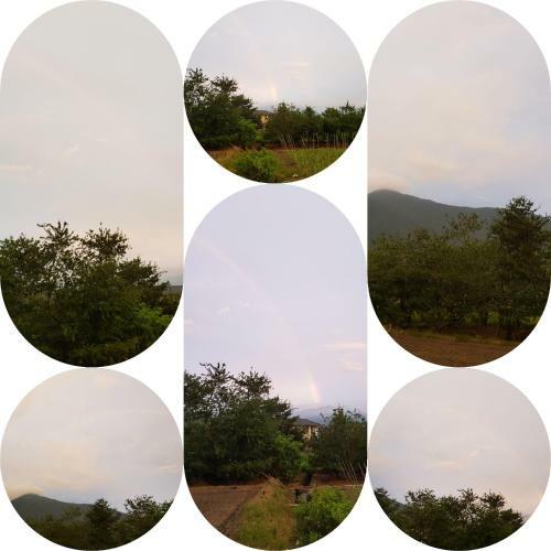 Puli Sunshine B&B