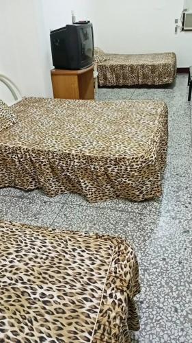 Hostal ????? ????????