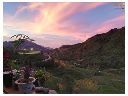 The Link Farmstay