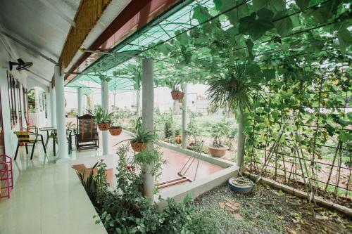 Tre Xanh Homestay