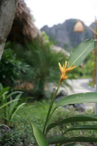 Bed & Breakfast Hali Home Ninh Binh