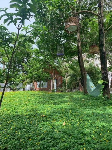 Trang An Lighthouse Homestay