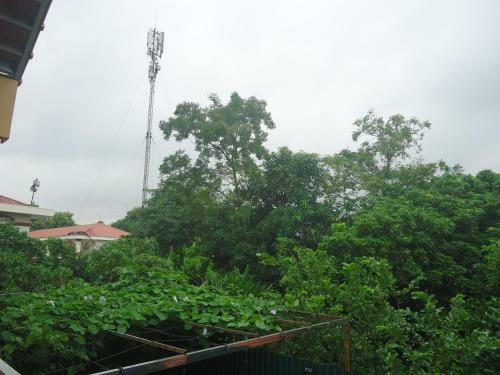 Bed & Breakfast Green Space Homestay