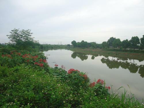 Bed & Breakfast Green Space Homestay