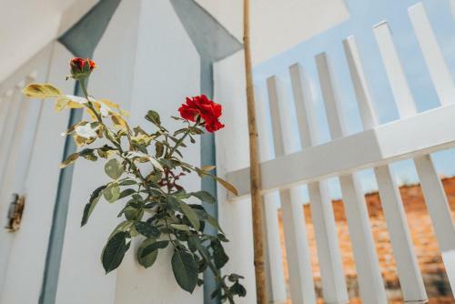 Nai's House - Homestay