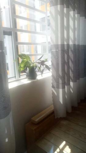 Apartamento Homestay Th?o My