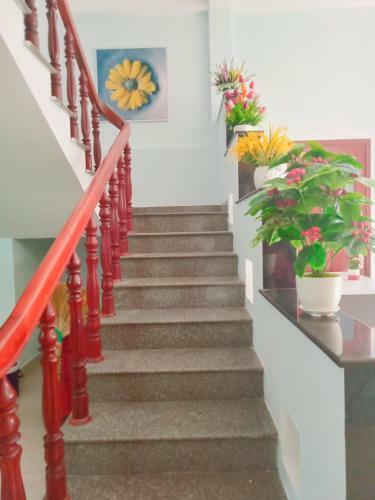 Hotel Sunny House