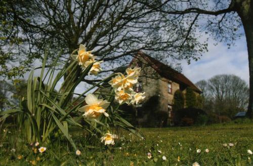 High Farm B&B