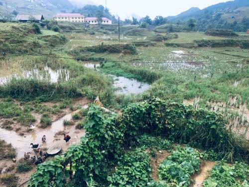 H?mong Traditional Homestay