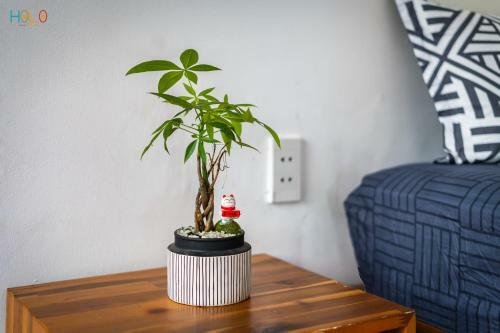 Holo Ben Thanh Saigon - Serviced Homestay