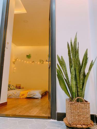 Bed & Breakfast Cozy Private Home @ Hcm D.5