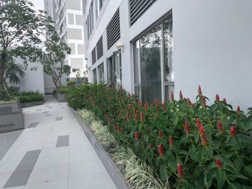 Apartamento 151 B?n V�n ??n