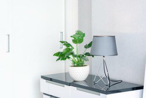 Vinhomes Luxury-kayla's Apartment