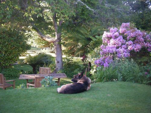 Bed & Breakfast Twynham At Kinloch