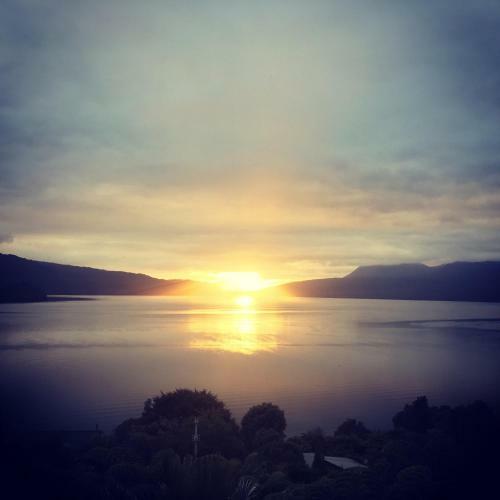 Hostal Te Whare -lake Tarawera Tree-top Nest