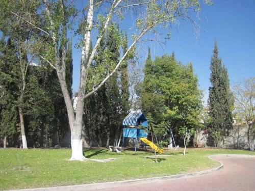 Apartamento +ms +amplia Suite +alberca +150mb Internet 17b