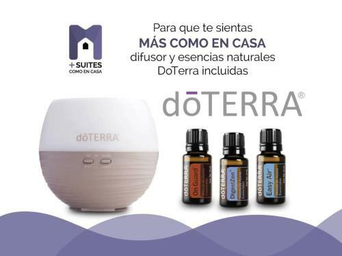 Apartamento +ms +amplia Suite +alberca +150mb Internet 17b