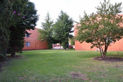Apartamento +ms +amplia Suite +alberca +150mb Internet 17b
