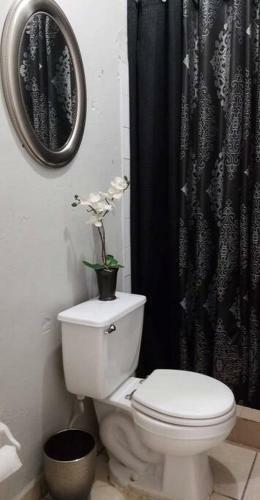 Mi Hogar 21