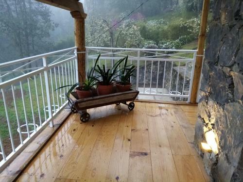 Hotel Frutos Del Bosque