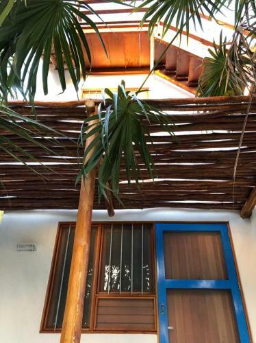 Apartamento Yaxch�
