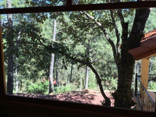 Lodge Bellavista Caba�as