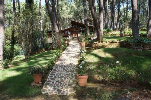 Caba�a Del Panda, Mazamitla, Los Cazos
