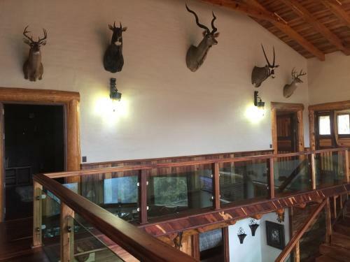 Lodge Caba�a Leon By Bellavista Caba�as