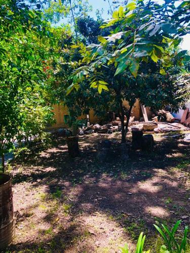 Apartamento Casa Campestre Las Ruedas