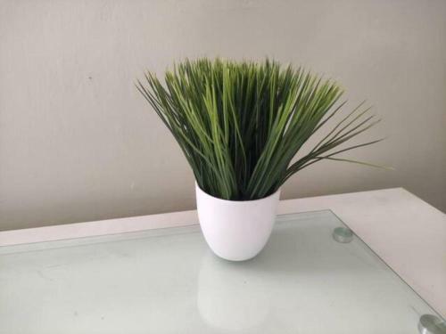 Apartamento Sweet Tenango Depto 3c 1b Centrico San Javier