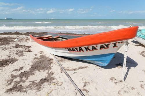 Apartamento An Amazing Stay In Progreso, Close To Everything
