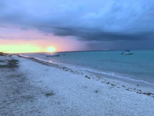 Apartments Artistic Mayan Accommodation - Ama Yucatan