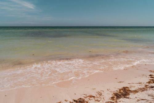 Luxury Condo, The Hidden Gem Playa Chac�. Live It!