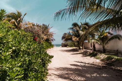 Luxury Condo, The Hidden Gem Playa Chac�. Live It!