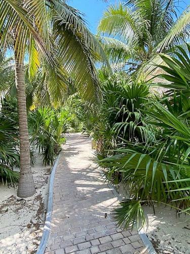 Progreso East, 1 Block From The Beach, Spacious Condo With Splendid Views