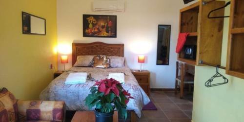 Apartamento Suites De Mita - Boutique Hotel
