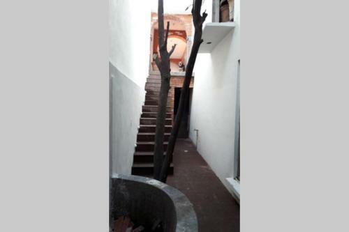 Apartamento Loft Amueblado Y Equipado + Servicios (Room #1)