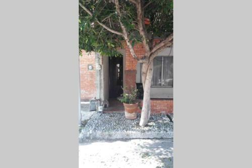 Apartamento Loft Amueblado Y Equipado + Servicios (Room #1)