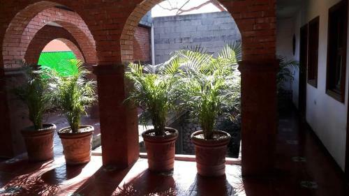 Apartamento Loft Amueblado Y Equipado + Servicios (Room #1)