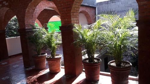 Apartamento Loft Amueblado Y Equipado + Servicios (Room #1)