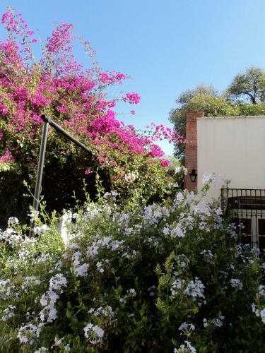 Hotel Rancho El Morillo