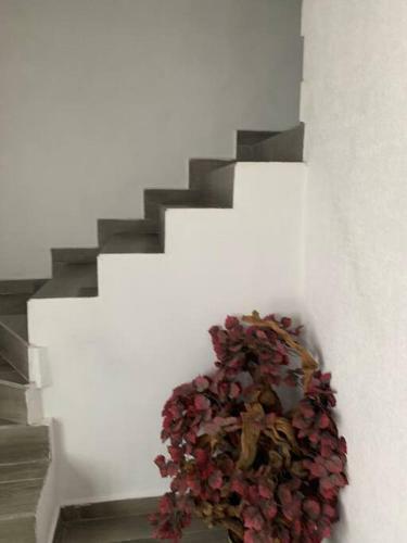 Apartamento Linda Casa,comodidad, Limpieza