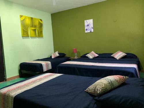 Hostal Casa Alegria