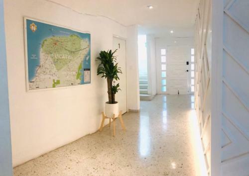 Hotel Downtown Merida